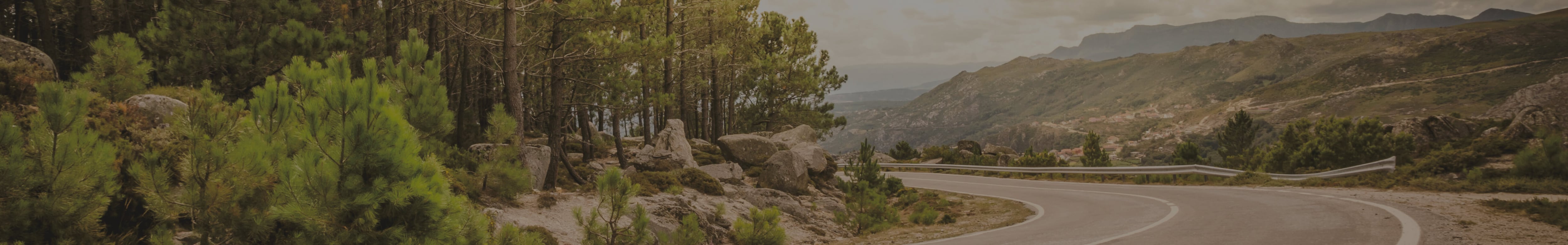 Paysage de forêt avec une route en montagne